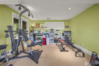 The Family Room, with its great adaptability, also provides Access from this area to the Lower-level Patio and Backyard. On the other side of the wall on the right is the, previously mentioned, Extra-Finished Room.  This space offers potential for an easy 4th Bedroom.