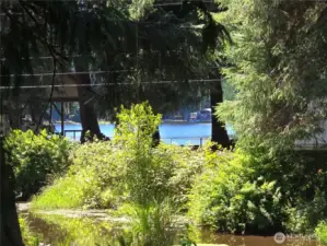 Peak a boo view of the lake