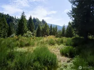 Homesite