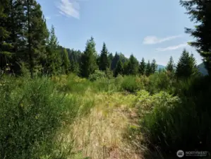 Homesite
