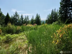 Homesite