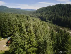 Aerial Views