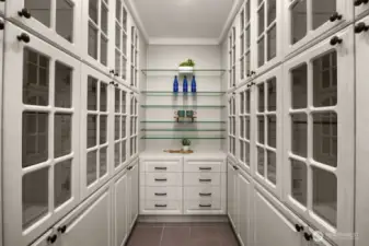 Large pantry with plenty of room food or extra small appliances