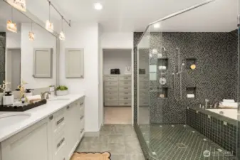 Primary suite bathroom with walk-in closet on the other side.
