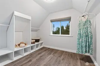 Spacious walk-in closet offering abundant storage.