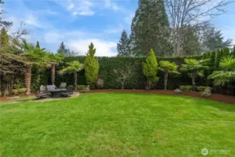 Beautifully landscaped, park-like backyard offering privacy, mature greenery, and an expansive lawn for outdoor living.
