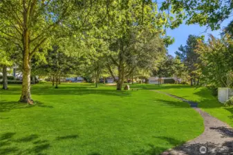 In the center of Hillandale is a lush green park with lovely shade trees.