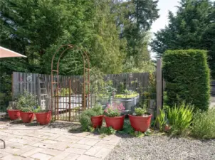 Established raised beds.