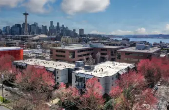 Easy access to the city.