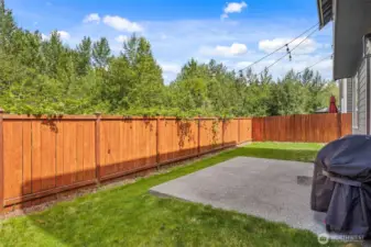 Fully fenced back yard, with greenbelt behind!