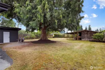 Large Private back yard