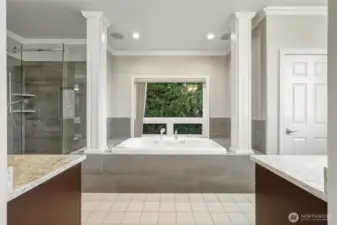 Oversized Spa-Like Luxury Primary Bath~