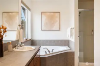 Primary bathroom