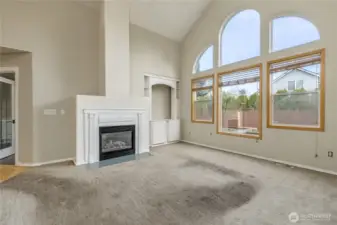 Gas fireplace in the living room