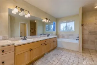 Huge 5-piece primary bathroom