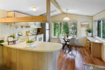 view of the Kitchen from the living room.