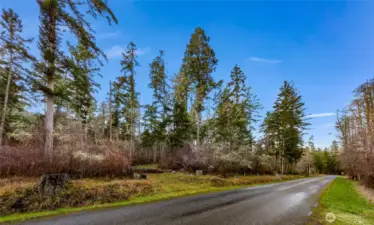 View looking NW over Lopez Sound Road showing access to lower property to the east.