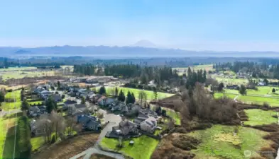 Walking distance (or ride the bus) to Dieringer Heights Elementary School.  School access from the neighborhood!