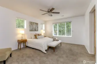 This picture window overlooks the backyard.