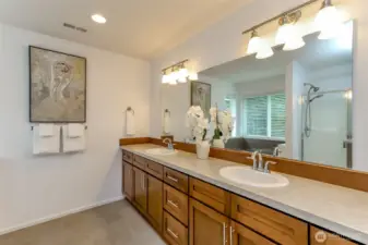 Primary bathroom with long vanity and double sinks.