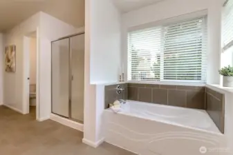 Primary bathroom with separate stand alone shower, soaking tub and water closet.