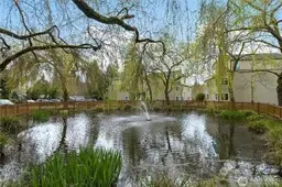 View of pond