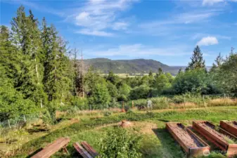 Fruit trees, raised garden beds