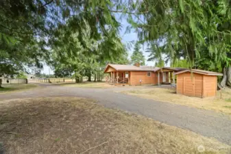 Looking toward Woodland Rd from the towering cedar trees between the house and the shop.