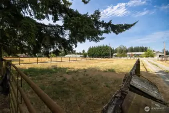Looking at the southern fenced pasture.