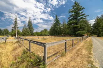 Looking across the property from the SW corner of the land.