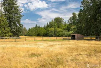 Looking across the middle pasture with the large pasture beyond.