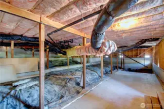 Huge Unfinished storage area/basement