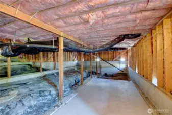 Huge Unfinished storage area/basement