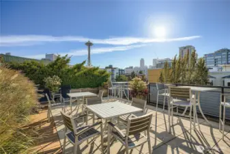 Iconic Space Needle view from Roof Deck