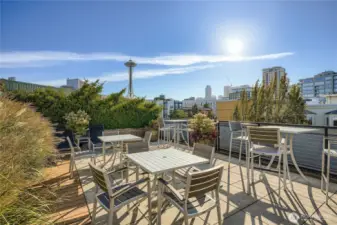 Iconic Space Needle view from roof deck