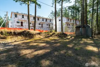 Looking to the propertyline of neighboring property
