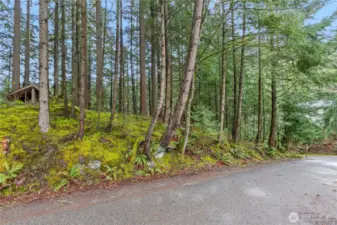 Calling all dreamers! Welcome to your future build site!