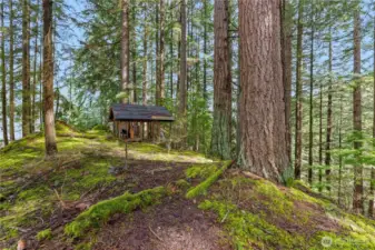 Build your home where the trees meet sky.