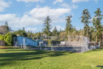 The tennis courts are available to the residents of Towne Point.