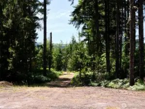 Driveway