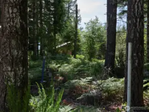 Acreage
