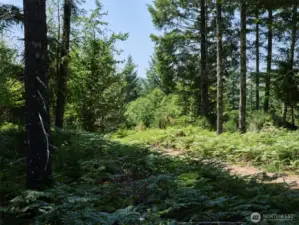 Acreage
