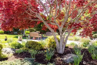 Welcome to the Whidbey Green Neighborhood!