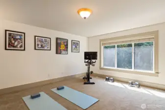 Bonus room or Home Gym