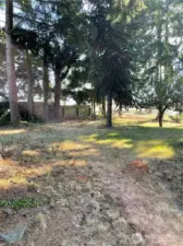 Frontyard