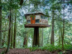 Another photo of this amazing tree house. Imagine the magical experience of sleeping is this Tree House!   (Does need a bit of structural work)