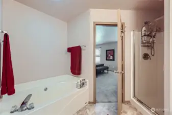 Separate Shower & Tub in Primary Bath