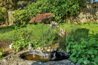 Small waterfall and pond near the back deck.