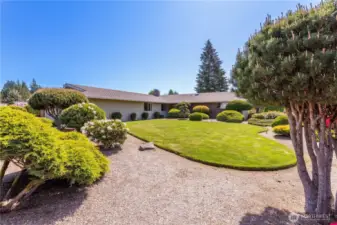 Landscaping in front of the home.