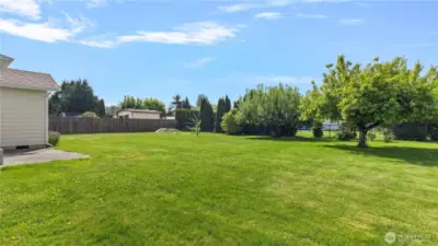 Large fully fenced backyard